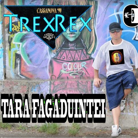 Tara Fagaduintei