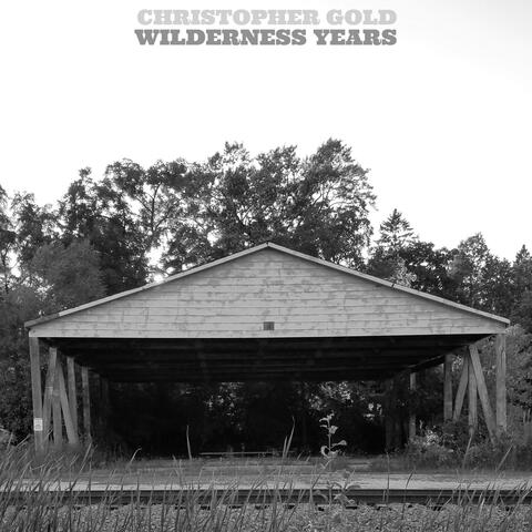 Wilderness Years