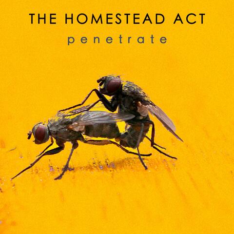 Penetrate