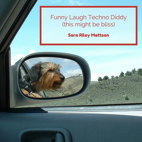 Funny Laugh Techno Diddy (This Might Be Bliss)