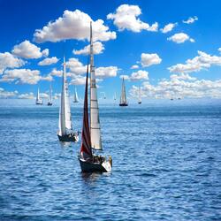Sailboats