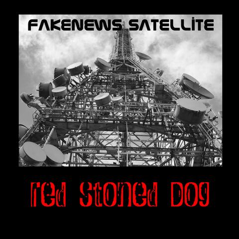 FakeNews Satellite