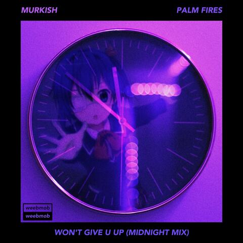 Won't Give U Up