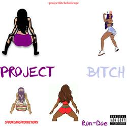 Project Bitch