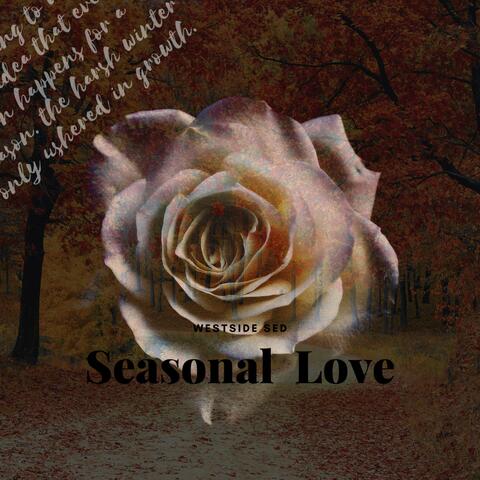Seasonal Love