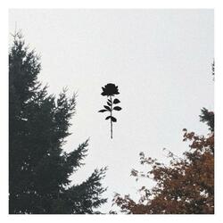 Lovesick (feat. SayWeCanFly)