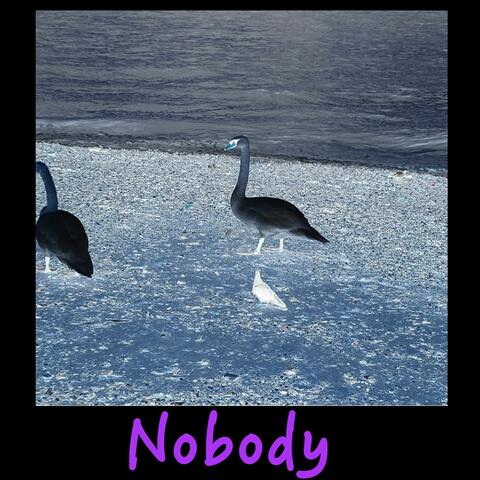 Nobody