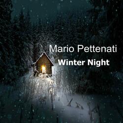 Winter Night