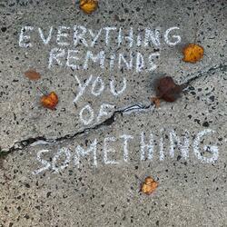 Everything Reminds You of Something