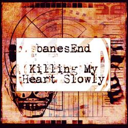 Killing My Heart Slowly