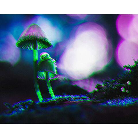 Rebirth