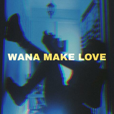 Wanna Make Love