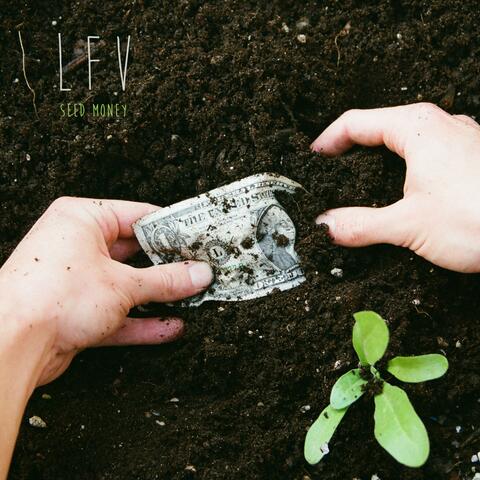 Seed Money