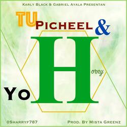 Tu Picheel y Yo H