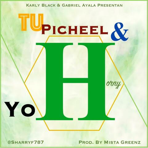 Tu Picheel y Yo H