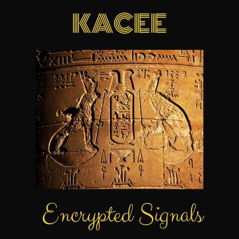 Encrypted Signals