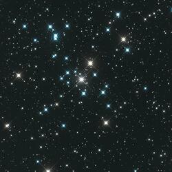 Stars in the Night