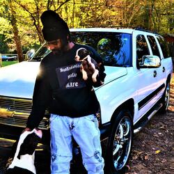 Street Life