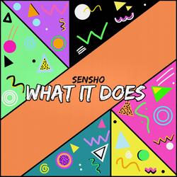 What It Does