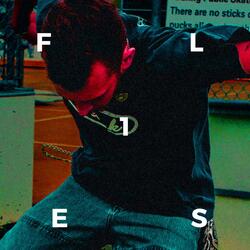 Flies 1.0