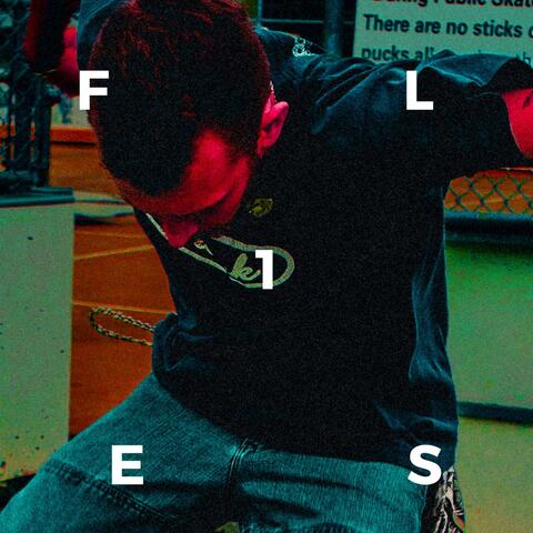 Flies 1.0