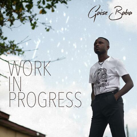 Work in Progress