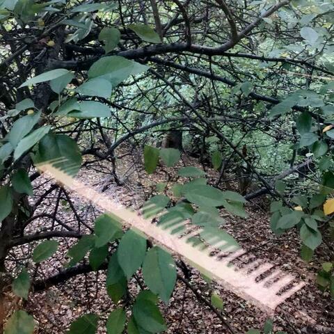 Sodom, Gomorrah, and Atlanta