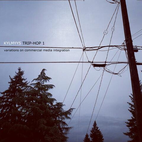 Trip-Hop 1: Variations on Commercial Media Integration