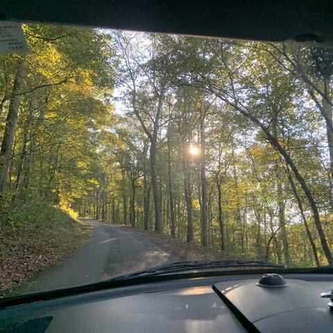 Just a Closer Walk With Thee