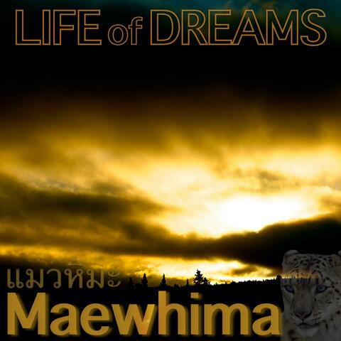 Life of Dreams