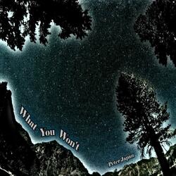 What You Won't
