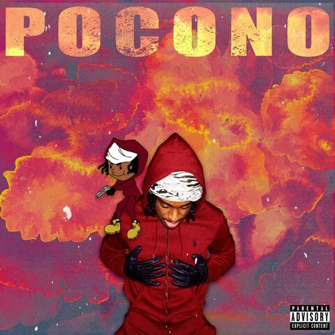 Pocono