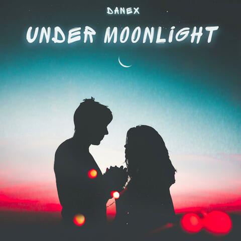 Under Moonlight