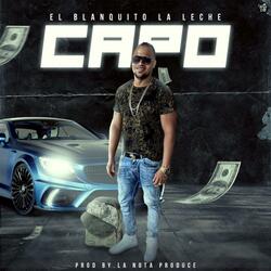 Capo