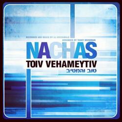 Toiv Vehametiv