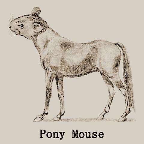 Pony Mouse