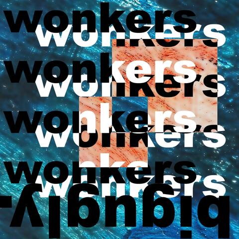 Wonkers