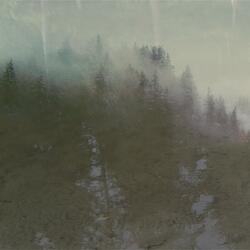 Forced Entropy