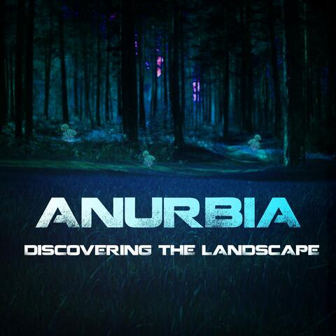 Anurbia: Discovering the Landscape