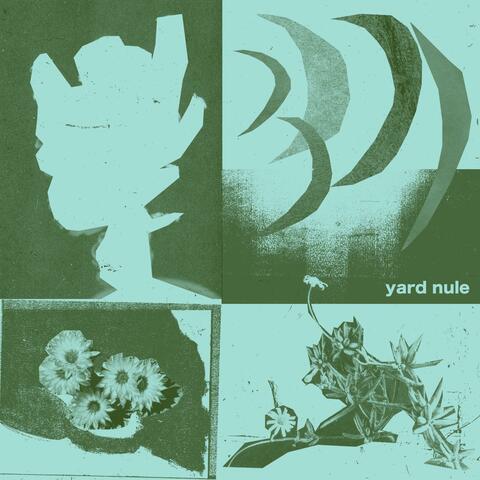 Five Moons