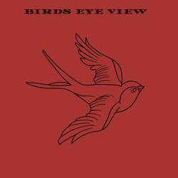 Birds Eye View