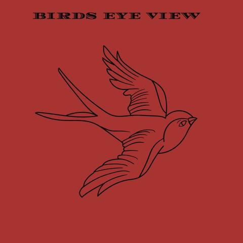 Birds Eye View