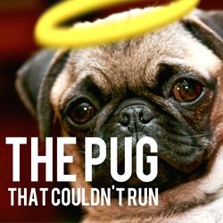 The Pug That Couldn't Run