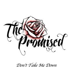 Don't Take Me Down