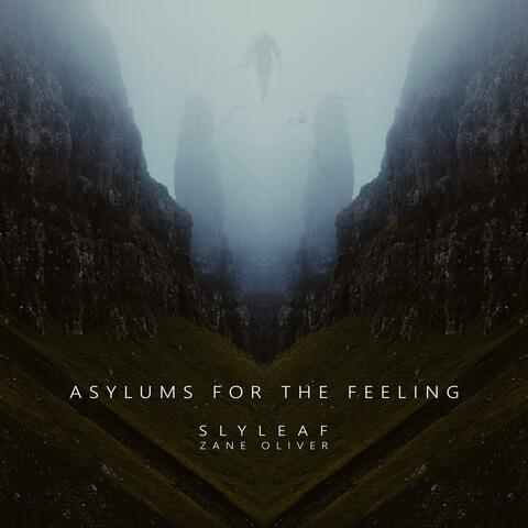 Asylums for the Feeling