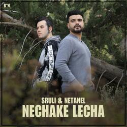 Nechake Lecha