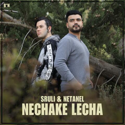 Nechake Lecha