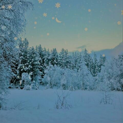 Snowflakes So Quietly