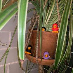 Small Trouble in Jewel City