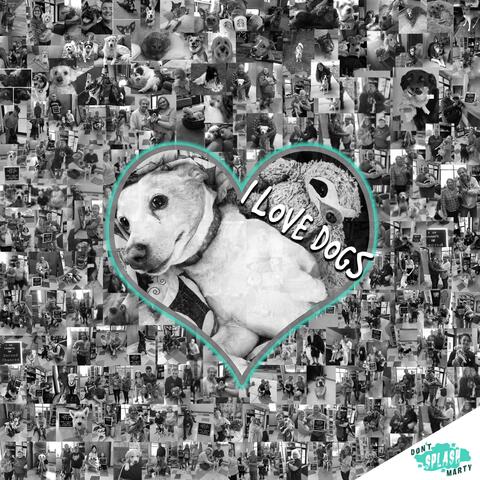 I Love Dogs